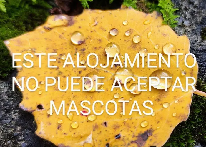 Pleta Del Mon